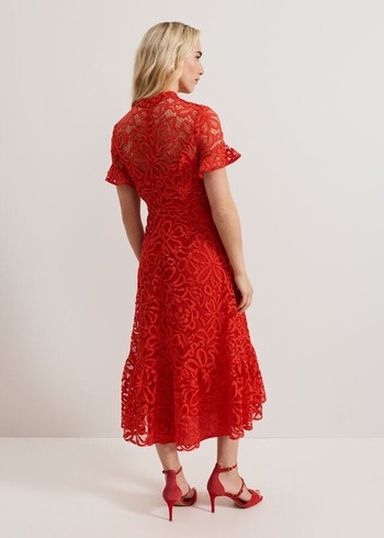 Phase Eight Lula Lace Dress Red USA | 6207543-ZY